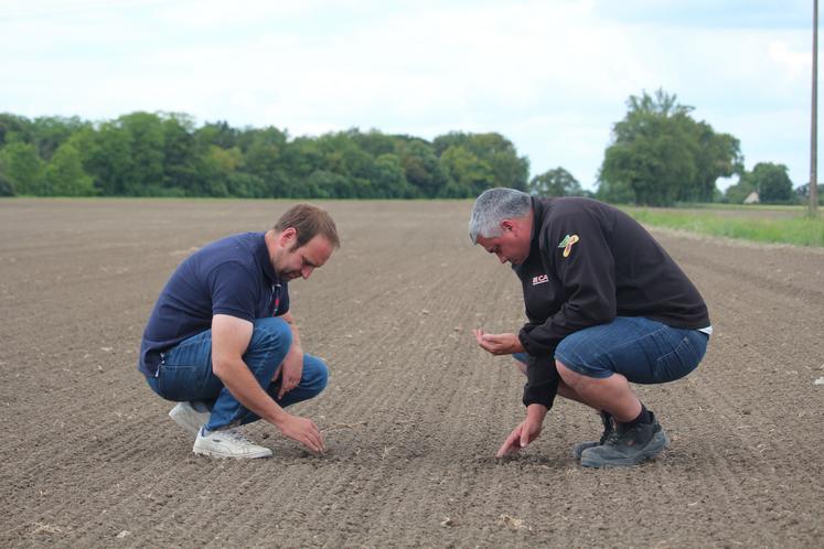 A part le sorgho, Florian Beaudouin cultive orge, blé, colza, maïs et tournesol sur une SAU de 100 hectares. 