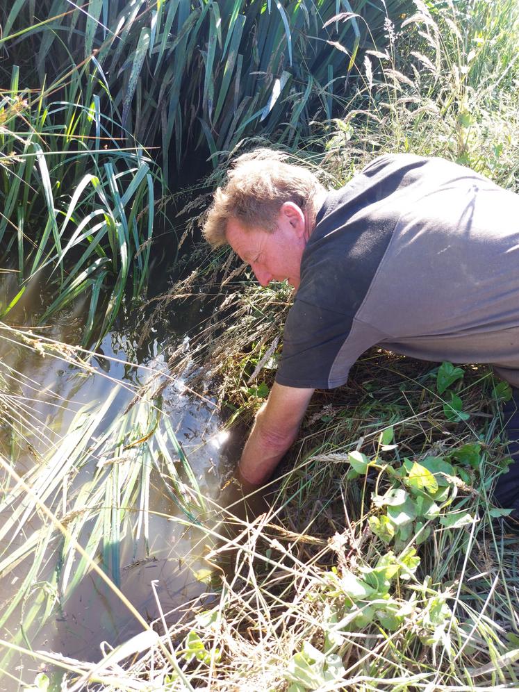 Le mauvais entretien des fossés amène la ligne d'eau au dessus des bouches de drainage.