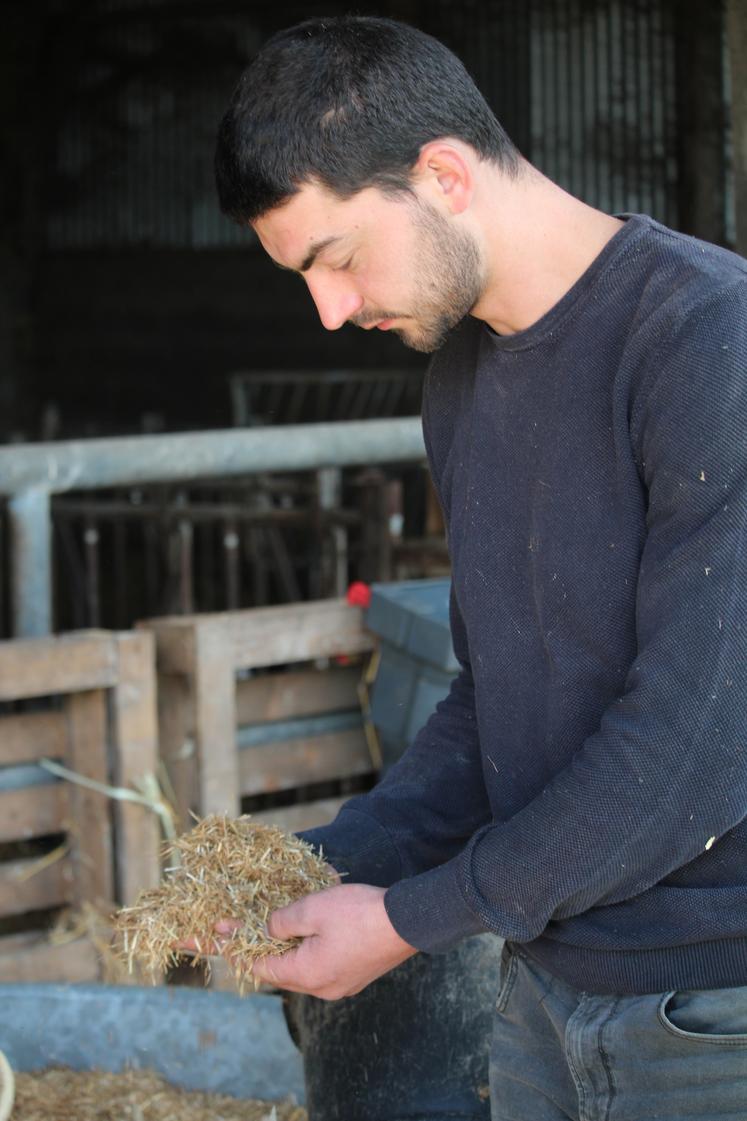 Romain Soulis apprécie le foin finement défibré. 