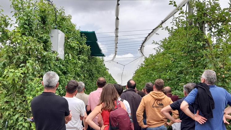 Un prototype de protection contre les aléas climatiques a été présenté par un salarié de Michelin dans le cadre du laboratoire d'innovation. Il s'agit de dispositifs rétractables installés au-dessus des vergers qui se gonflent avec de l'air comprimé lorsque qu'un aléa est annoncé, notamment le gel.