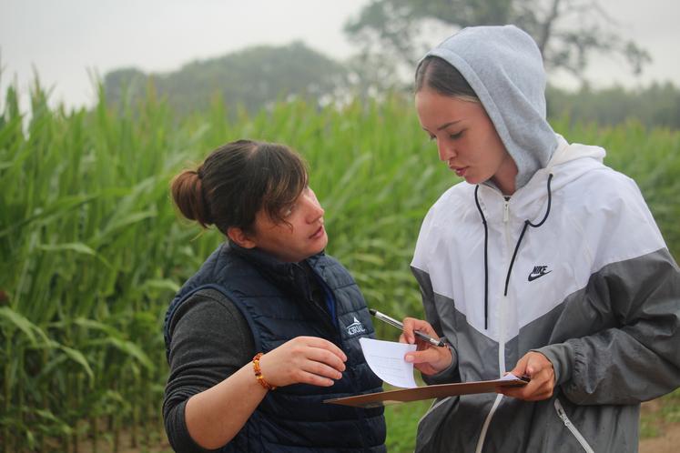 Cassandra Bourmault et Chloé, une cheffe d'équipe. A droite, Philippe, un retraité saisonnier en pleine forme. En bas, les premières soies...