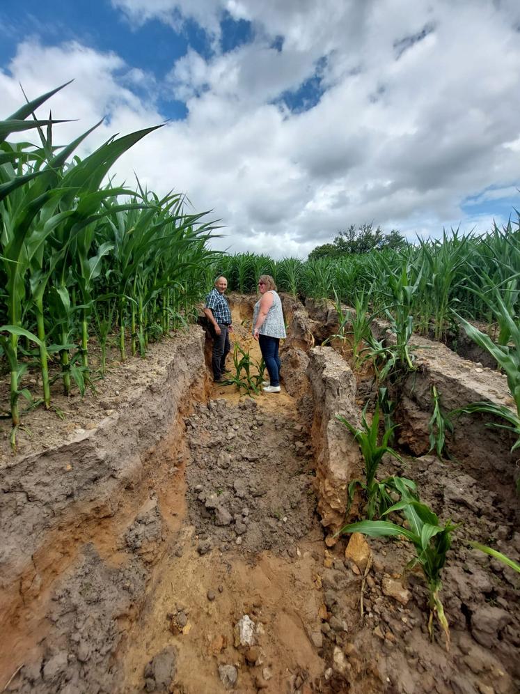 Les parcelles accueillant  des cultures de printemps, comme le maïs, ont subi des ravinements importants, détruisant la structure du sol.