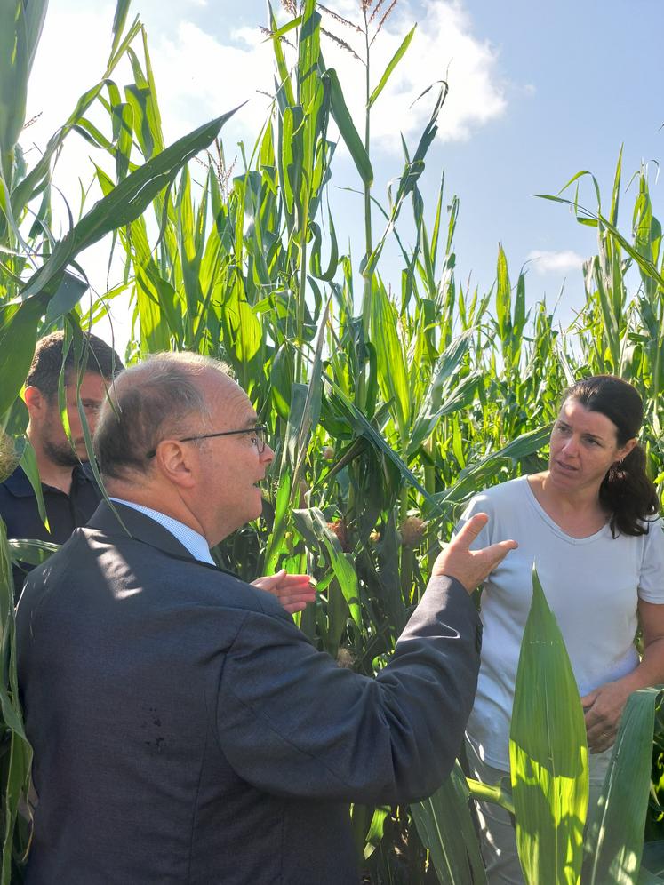 Emmanuel Aubry dans le champ de maïs grêlé, aux côtés d'Amandine et Benoît Fournier.