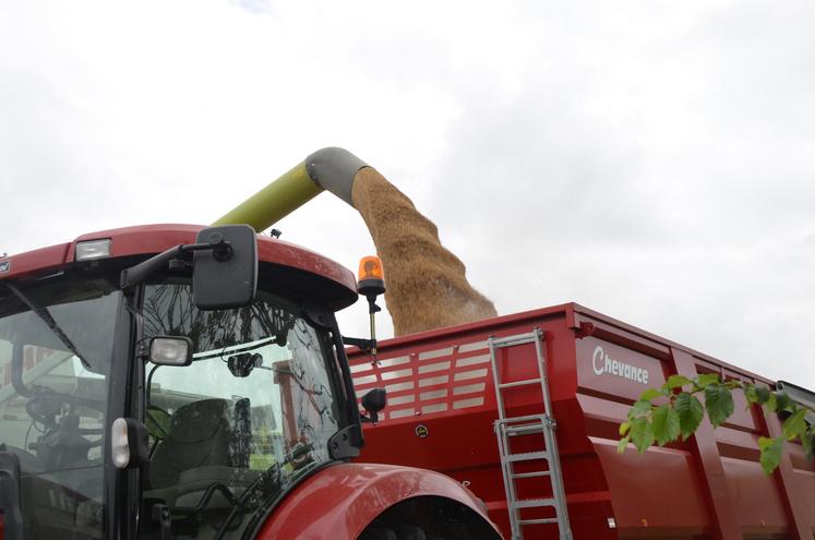 La moisson 2024 fera office de premier test grandeur nature pour le nouveau système de gestion des risques, réformé en 2023.