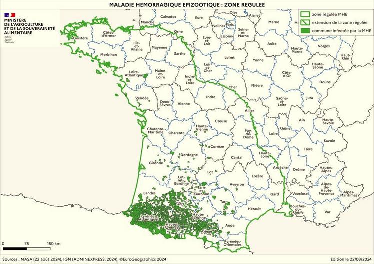 La zone régulée au titre de la MHE au 22 août 2024. Source : ministère de l'Agriculture.