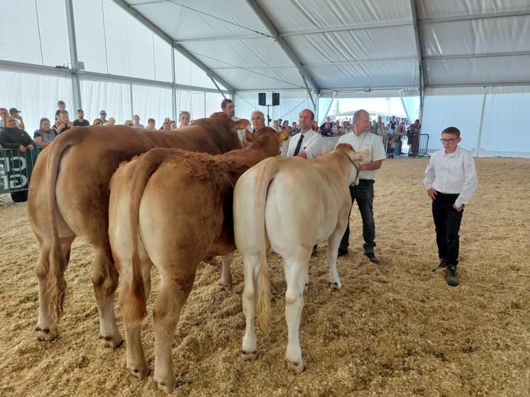 Les races limousine et blonde n'ont pas pu organiser de concours mais ont pu faire une présentation, ainsi que la parade des éleveurs le dimanche après-midi