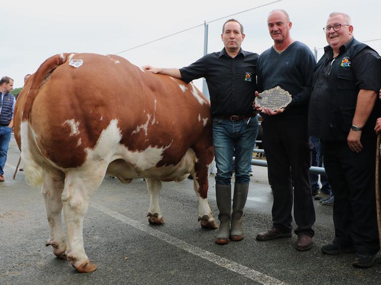 La SCEA Moncellière est rentrée en Maine-et-Loire avec le championnat inter-races femelles grâce à cette Rouge des Prés.