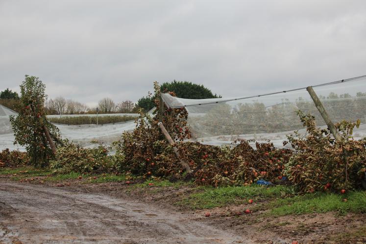 15 000 arbres fruitiers déracinés.
En haut à droite, Patrick Tessier, président de la Sica Gerfruit à Chenu, et Annie Genevard, ministre de l'Agriculture.