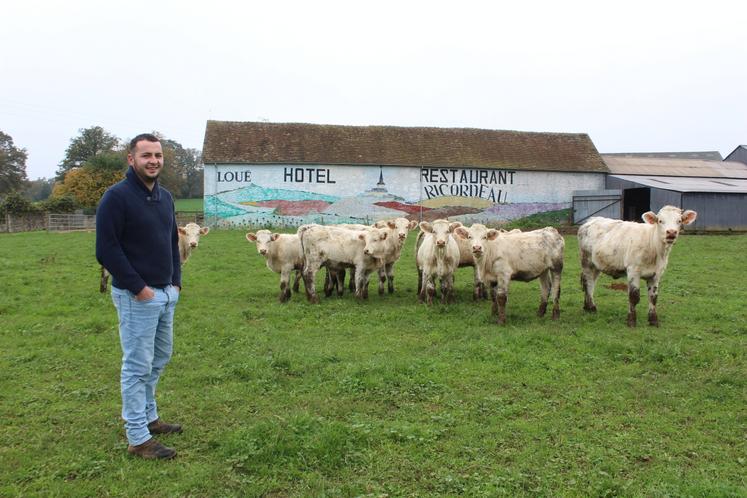 Bastien a racheté des vaches charolaises pour amener son troupeau à 50 mères.