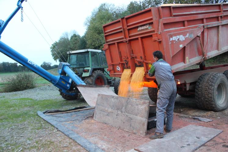 Le grain est repris par une vis montée sur chariot.