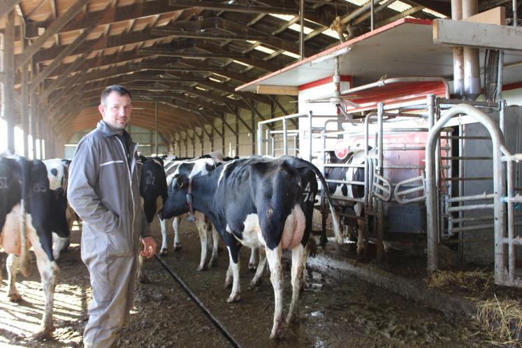 Le Gaec du Grand Beauchêne conduit un troupeau de 110 VL qui produisent près d'1,3 million de litres de lait pour Bel.