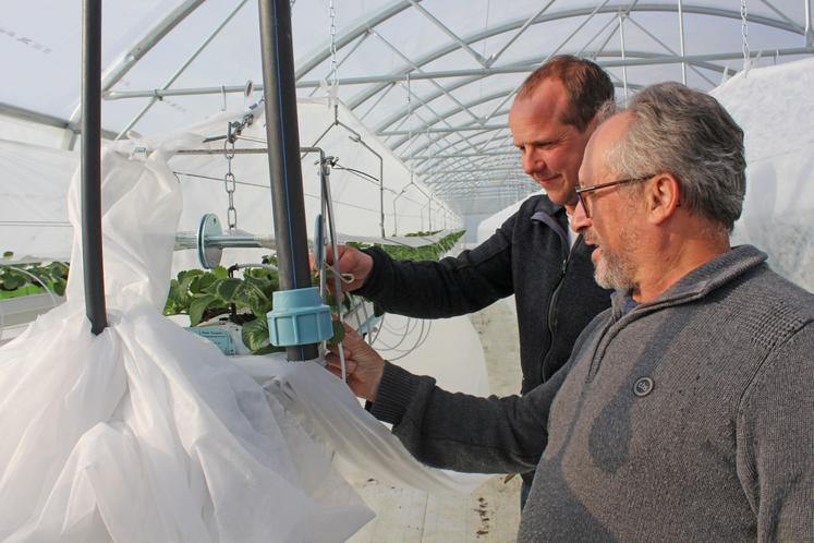 Le Verger de Beaumont vient de monter une serre de 1 000 m² pour produire des fraises hors sol. Patrick Langevin devrait prendre sa retraite définitive ce printemps.