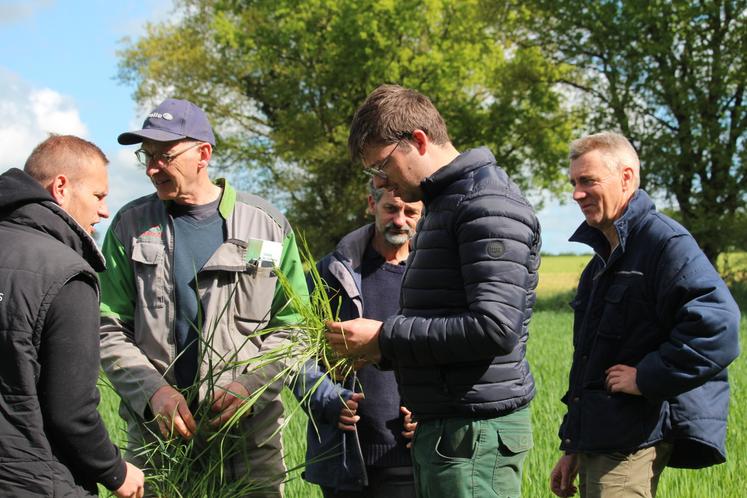 La Chambre d'agriculture organise régulièrement des visites de parcelles à travers ses "bouts de champ". Jérôme Boissé (au centre) a pu constater le bon état des cultures qui va lui permettre d'économiser sur les phytos.