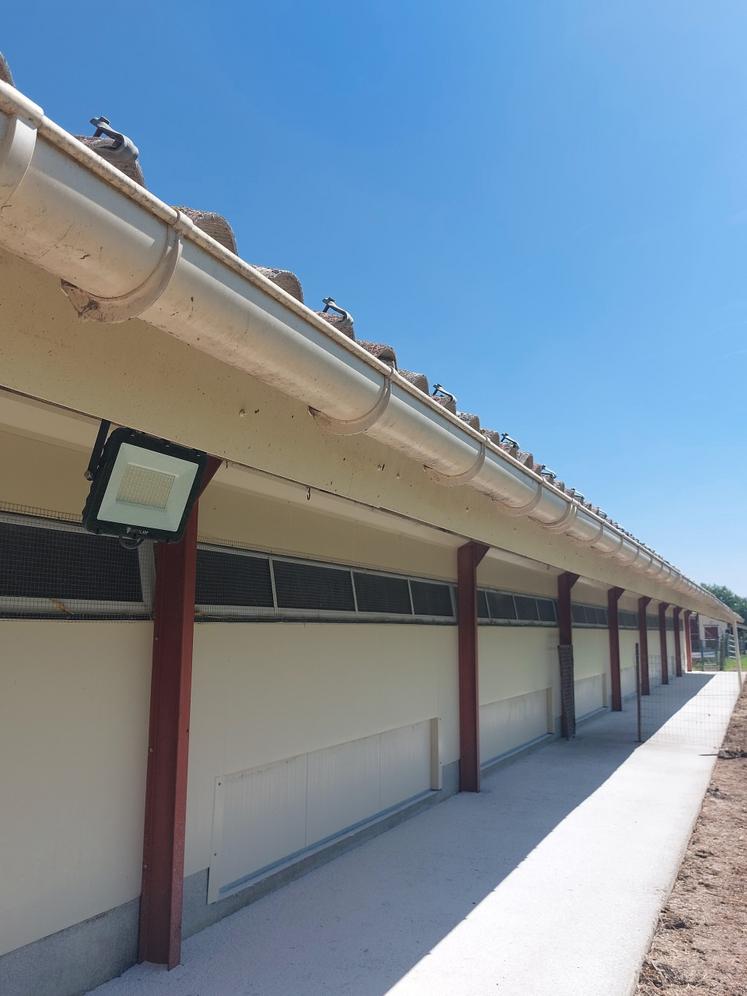 Installation des luminaires sur les bâtiments de volailles.