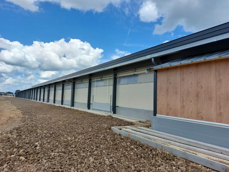 Le parc à poules est en cours de finalisation.
