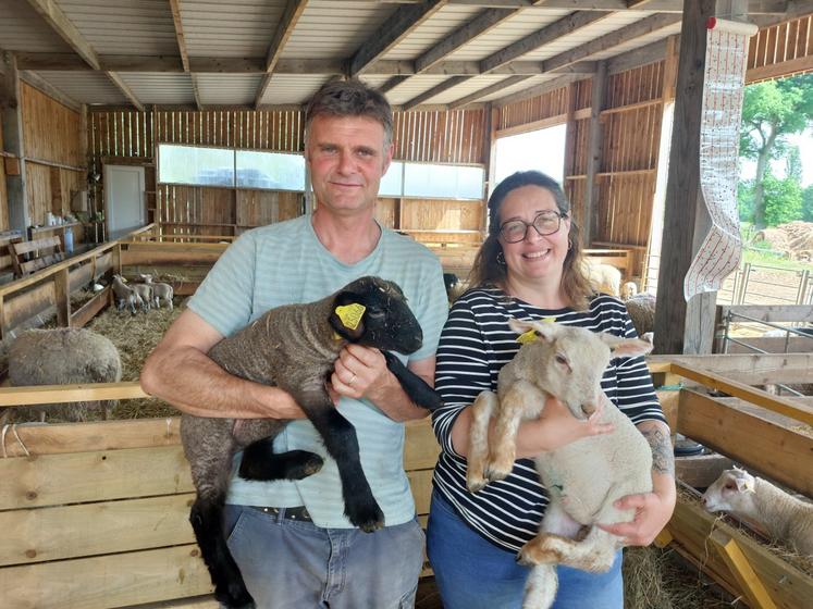 Jérôme et Nathalie Baillif, dans leur bâtiment dédié aux agnelages, ici avec des agneaux de race Suffolk (le noir) et Romane (le blanc).