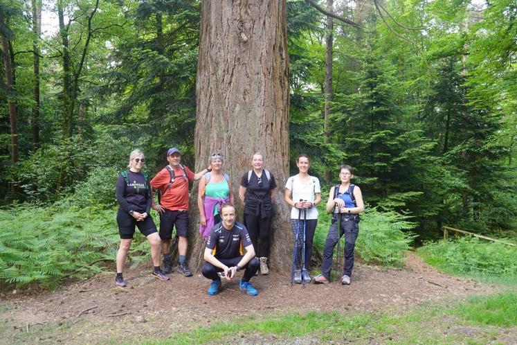 Nadine Andreau organise des randonnées en forêt de Perseigne. Elle peut compter sur une ancienne collègue du Cefiga à la retraite, Marie-Claire Grouas (à droite) qui l'accompagne sur ses randos ("ma première Fan").