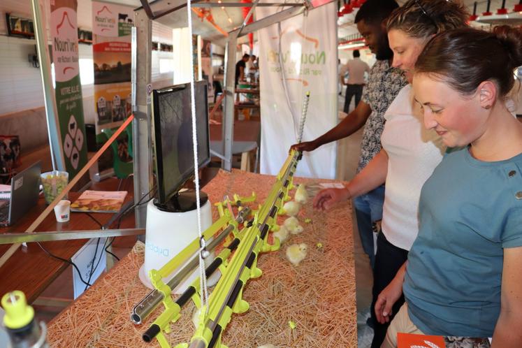 Mardi 24 juin, la Chambre d'agriculture de la Mayenne organisait une nouvelle édition de l'Innov'Action volaille sur l'exploitation de Claire et Jérémy Patin, à Saint-Cyr-le-Gravelais. Le Gaec Patin Desnoë a accueilli les stands de près de 80 partenaires de la filière avicole.