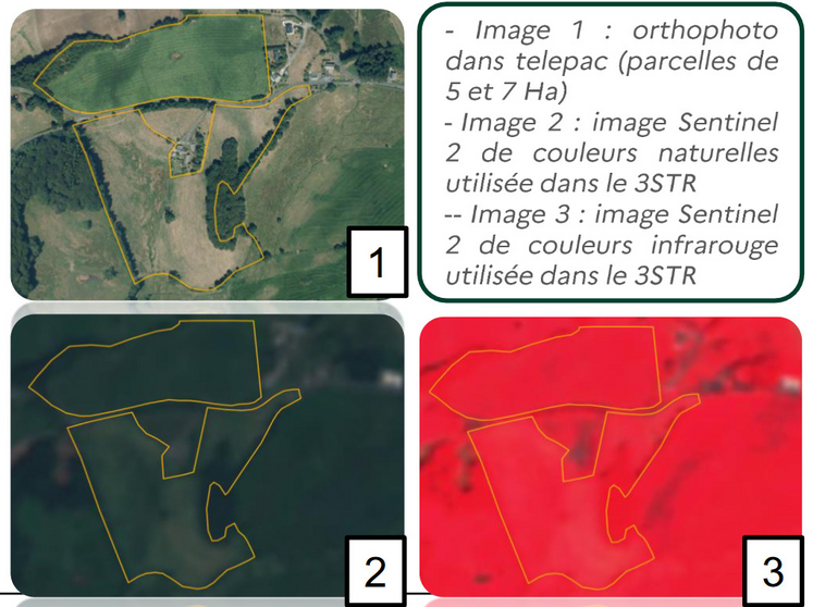 Images utilisées en 3STR et comparaison à l'orthophoto utilisée pour la télédéclaration.