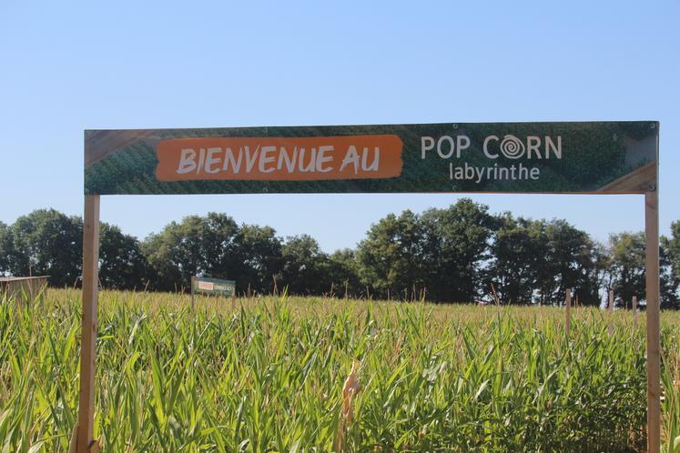 Pop Corn Labyrinthe au Mans. Ouverture : 5 juillet - 31 août 2025. Horaires : tous les jours, de 10h à 18h. Tarifs : 8 € le matin, 9 € l'après-midi, réduction de 1 € pour les réservations en ligne. Adresse : Pannetière, 72650 Trangé. Réservation : https://www.popcornlabyrinthe.fr/le-mans/