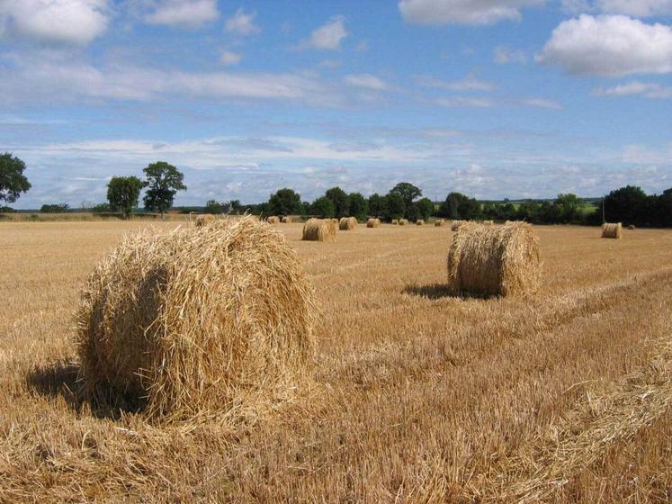 Côté stocks de paille, la situation est tendue mais pas désespérée, même si en trouver est compliqué car il y a moins de paille que prévu, moins de vendeurs.