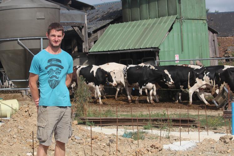 Antoine Gaudemer conduit un troupeau de 75 Prim'Holsteins et Normandes à Montreuil le Chétif.