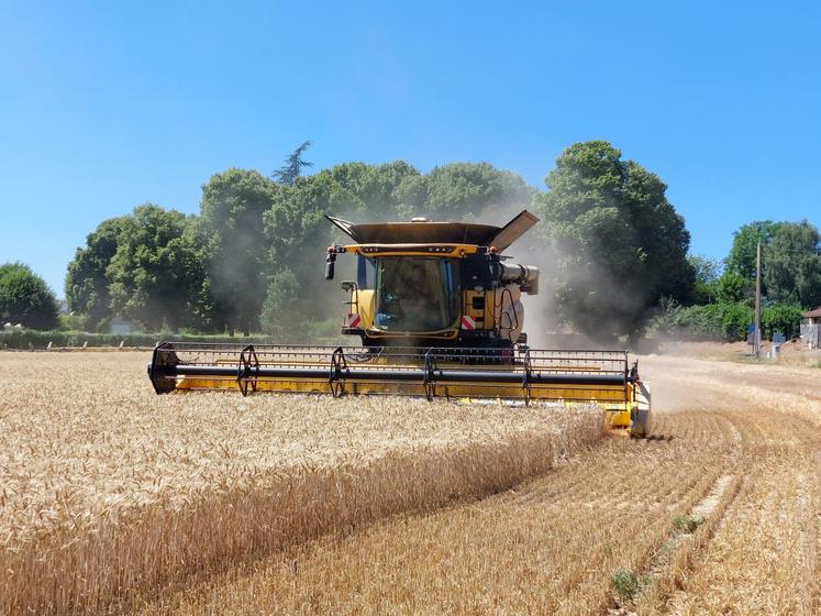 La moisson du blé a repris mercredi sur une parcelle du Gaec des Pins, à Yvré-le-Pôlin, avec une moissonneuse à rotor de la SAS Martin. Nicolas Couturier (à dr.), l'un des 5 associés du Gaec, conduisait la benne.