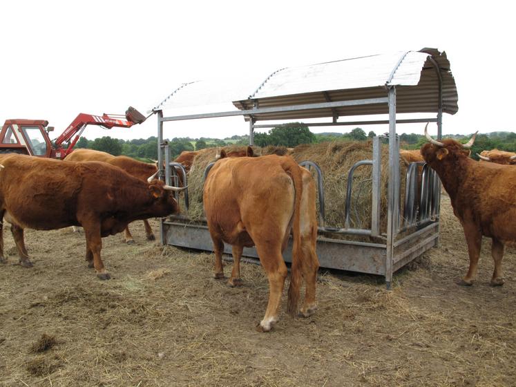 Certaines prairies étant devenues des paillassons,  beaucoup d'agriculteurs ont déjà "tapé" dans les stocks d'hiver.