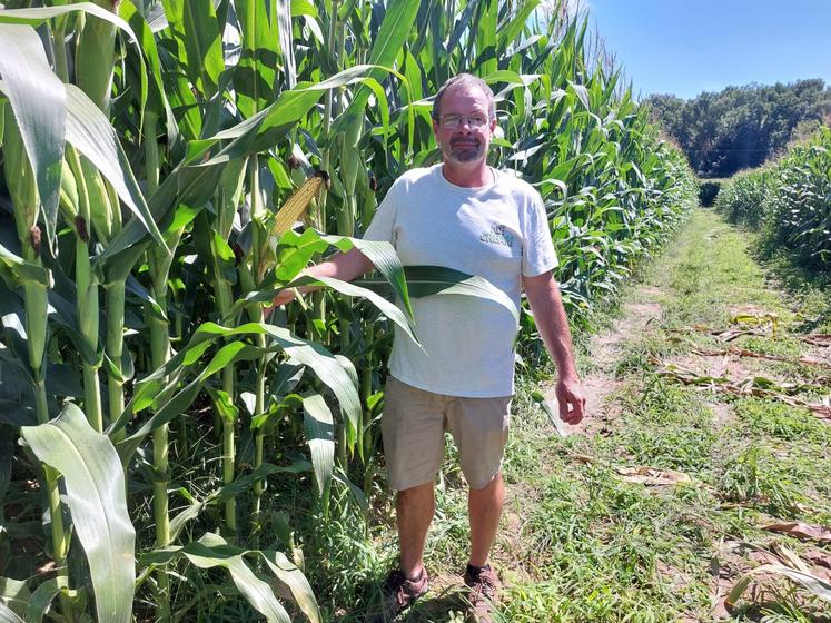 Emmanuel Froger produit du maïs grain irrigué sur 30 ha avec deux variétés : DK4416 et P9975. Ses maïs sont prometteurs alors que le sixième tour d'eau vient d'être réalisé.