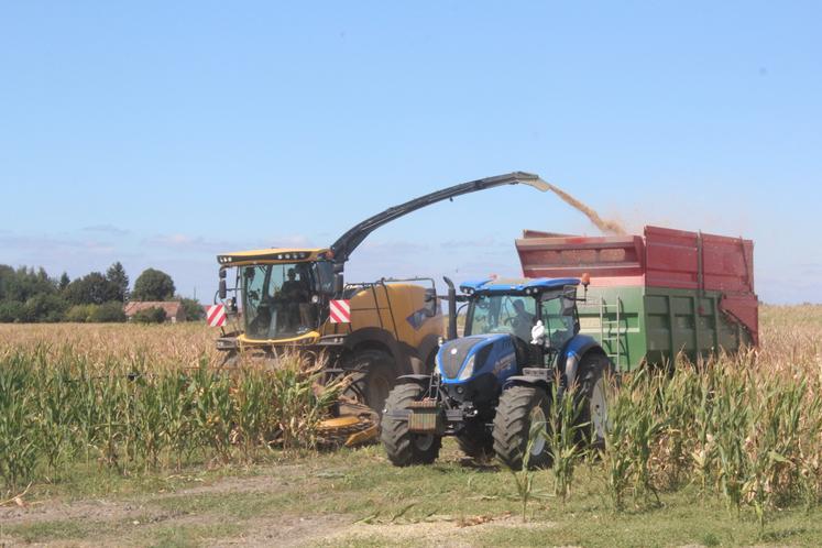 Ensilage le 26 août chez Julien Ménager.