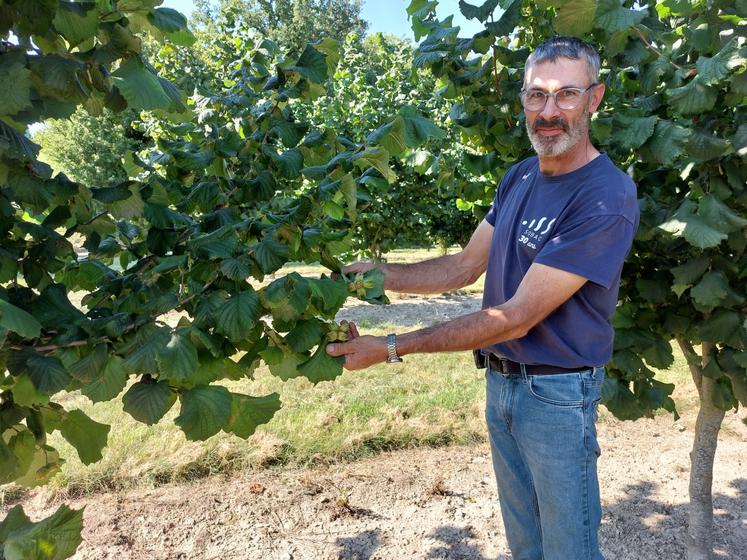 Fabrice Porcheron conduit 40 ha de noisettes pour Unicoque.