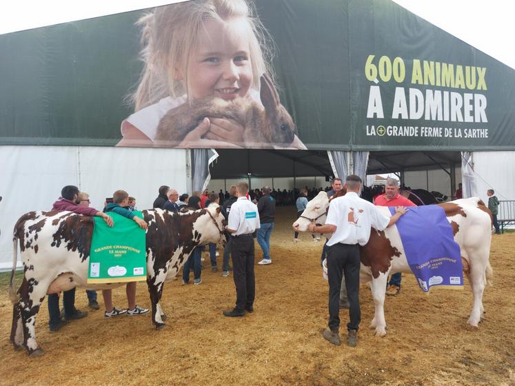 Foire du Mans 2025