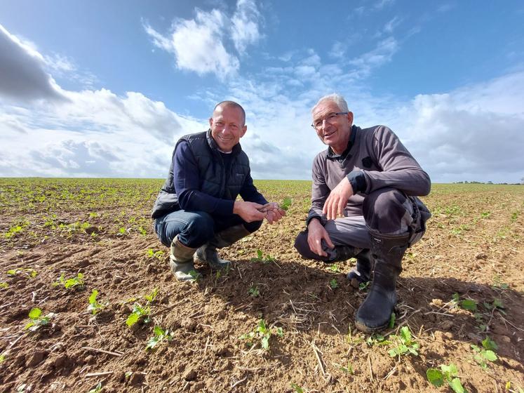 Franck Plessis (à g.) visitait une parcelle de colza de son client Denis Provost (à dr.), aux Mées, le 11 septembre.