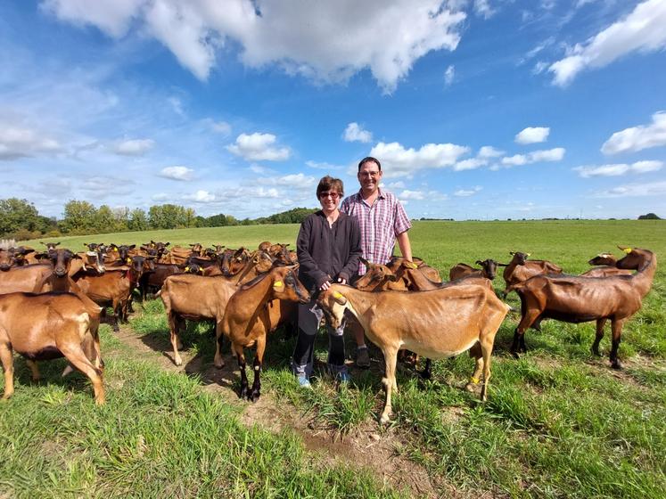 Baptiste et Aurélie Pichon conduisent 90 chèvres alpines à la traite.