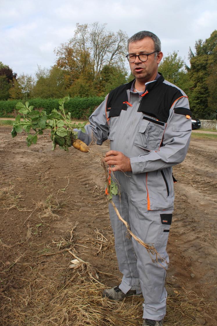 Arnaud Doucet lors de l'arrachage de ses pommes de terre en septembre 2022.