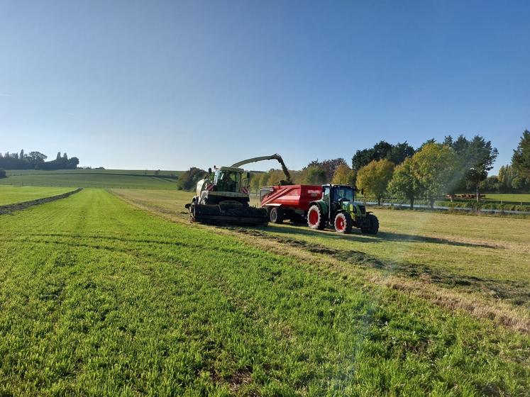 Les conditions étaient optimales pour le chantier d'ensilage, par un temps lumineux et sur sol égoutté.