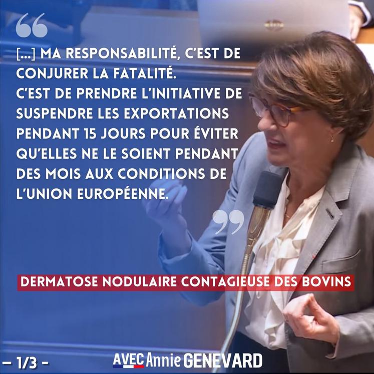 Annie Genevard DNC