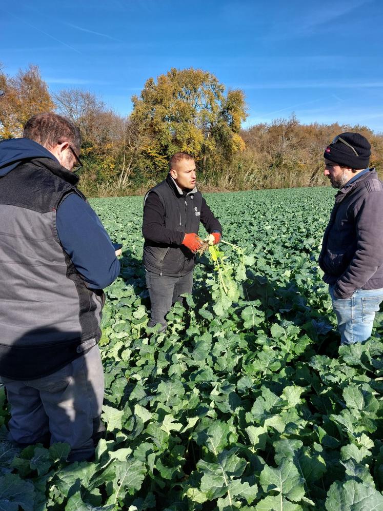 Florent Leblois a pesé le colza de Stéphane Leroux, pour un résultat de 4 kg sur cette parcelle semée le 27 août.