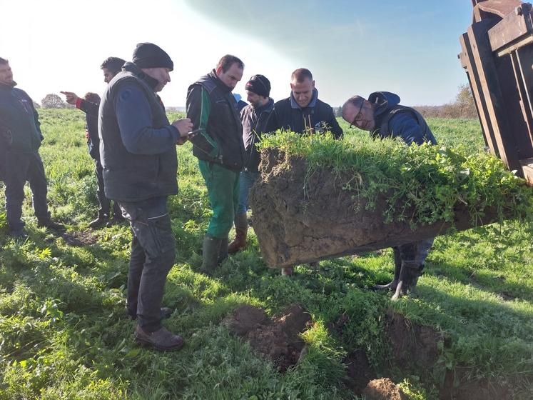 Un test bêche a été réalisé, révélant un sol sablo-limoneux.