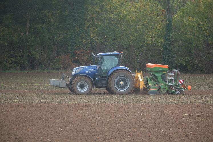La parcelle de féverole est bordée par la Gée.