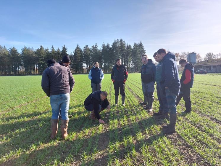 Florent Leblois a réuni les membres de son groupe d'Ecommoy pour faire un point sur les cultures en place, le 18 novembre, chez Stéphane Leroux.