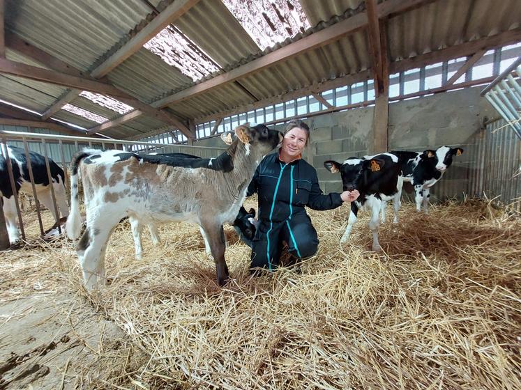 Au Gaec de la Petite Taff, Eileen se charge du suivi du troupeau. À gauche, Alouette, Prim'holstein croisée Brune des Alpes, est dressée en vue du prochain comice de Bazouges-Cré-sur-Loir.