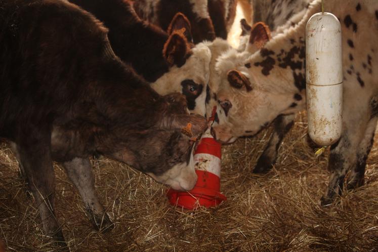 L'intrusion d'un plot suscite de l'intérêt.