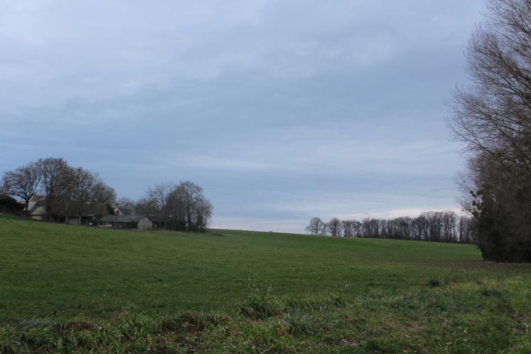 Le projet est d'augmenter la surface de pâturage de 33 à 70 ha.