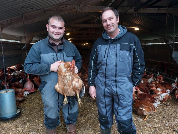 Armand Chouanet, à g., salarié du Gaec du Petit Moulin, conduit par Julien Foureau (à dr.), est très attentif aux chapons de Loué en phase de finition. Le lait de vache donné en plus de l'aliment est visiblement apprécié.