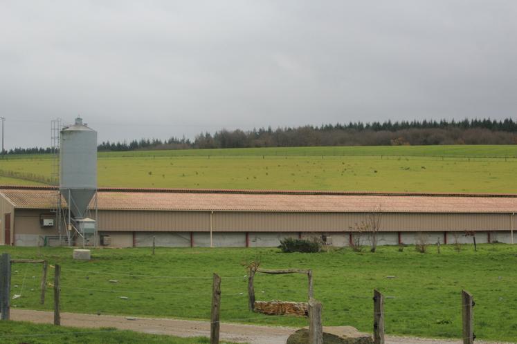 Le nouveau bâtiment de poules pondeuses.