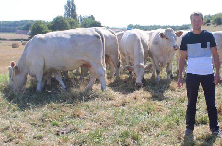 Damien Cabaret, installé depuis 4 ans à Bouloire, a vu son cheptel en race charolaise durement touché par la FCO-3 sur ses vêlages de janvier et février 2025.