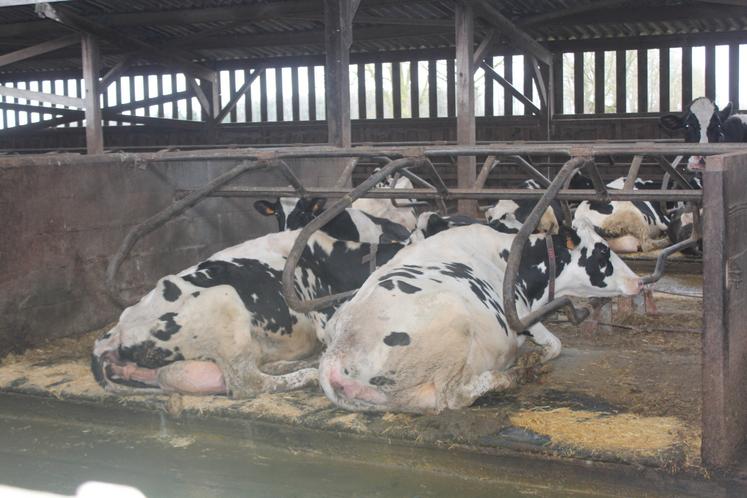 Déjà équipé en matelas, le bâtiment dispose désormais de tapis.