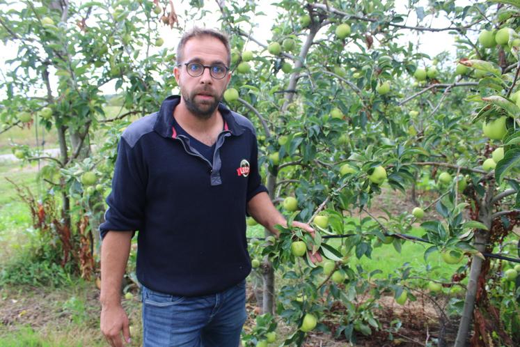 Pierre Leroy, arboriculteur à Oizé (72).