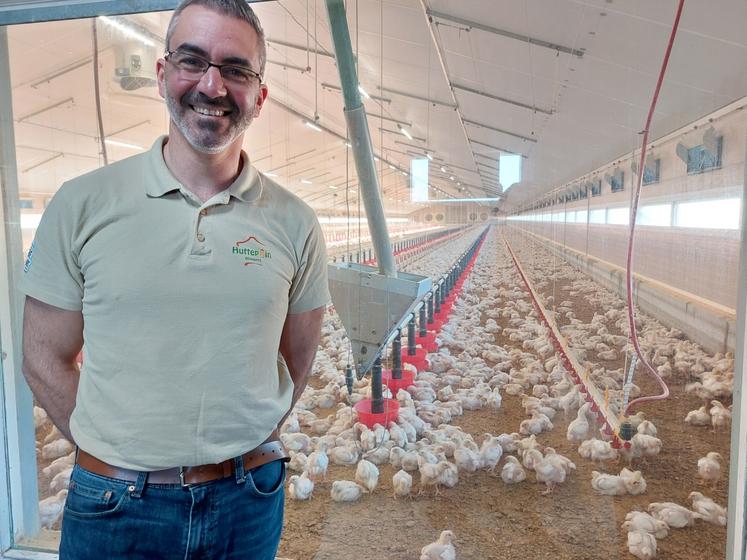 Nicolas Verdier et ses femelles alourdies de 16 jours, le 31 décembre.